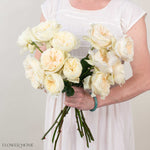 Cream Enid David Austin Garden Rose
