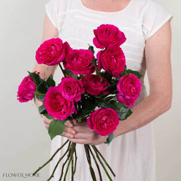 Deep Pink Hettie David Austin Garden Rose | DIY Wedding Flowers