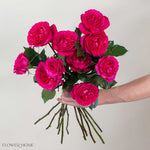 Deep Pink Hettie David Austin Garden Rose