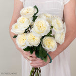 Ivory Patience David Austin Garden Rose
