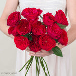 Deep Red Tess David Austin Garden Rose
