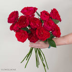 Deep Red Tess David Austin Garden Rose
