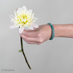 Cream Diana's Memory Dahlia Flower
