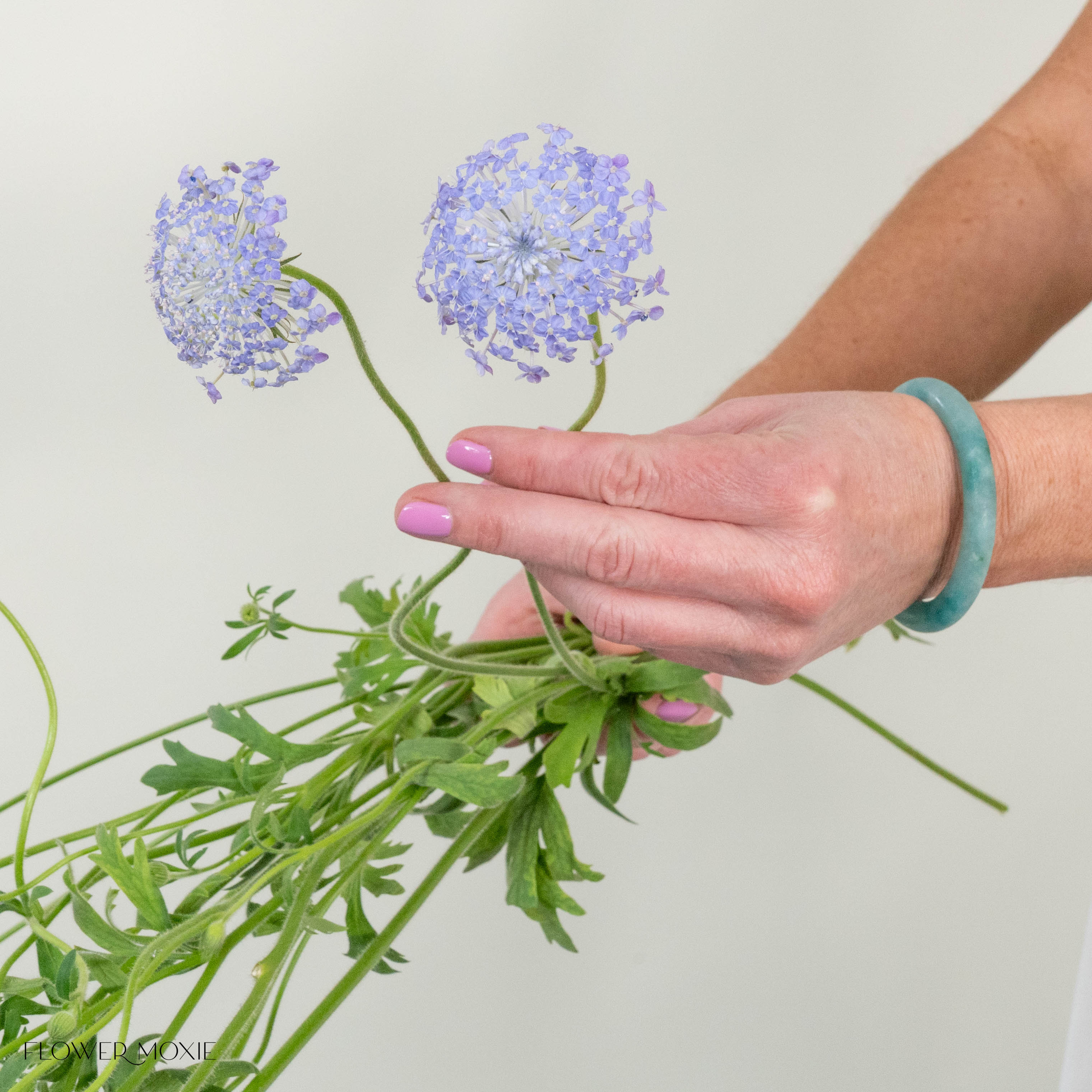 Lavender Blue Lace Didiscus Flower | DIY Wedding Flowers | Flower