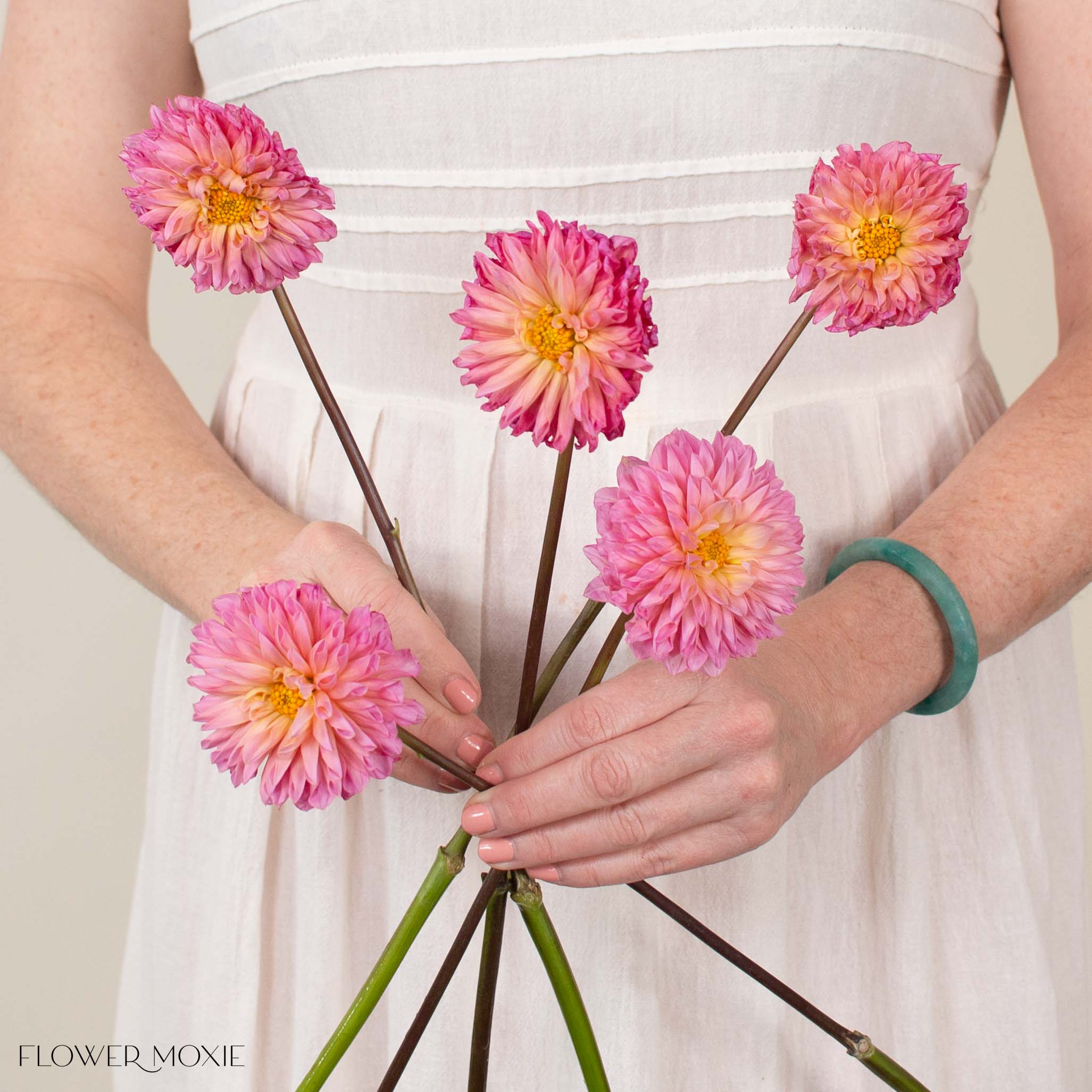Peachy Pink Doris Duke Dahlia Flower
