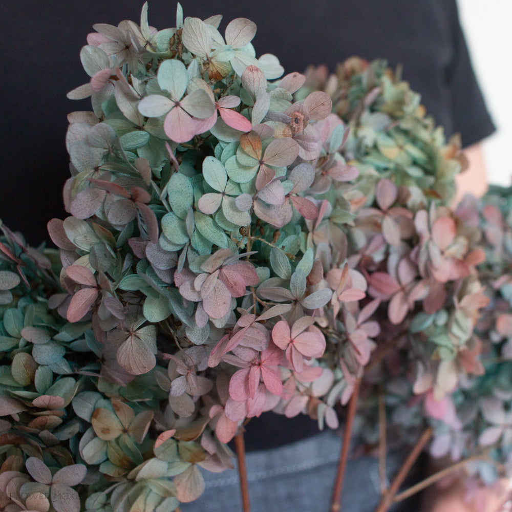 two-toned blue dried hydrangeas