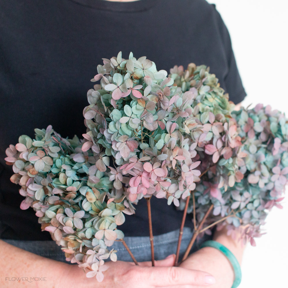 two-toned blue dried hydrangeas