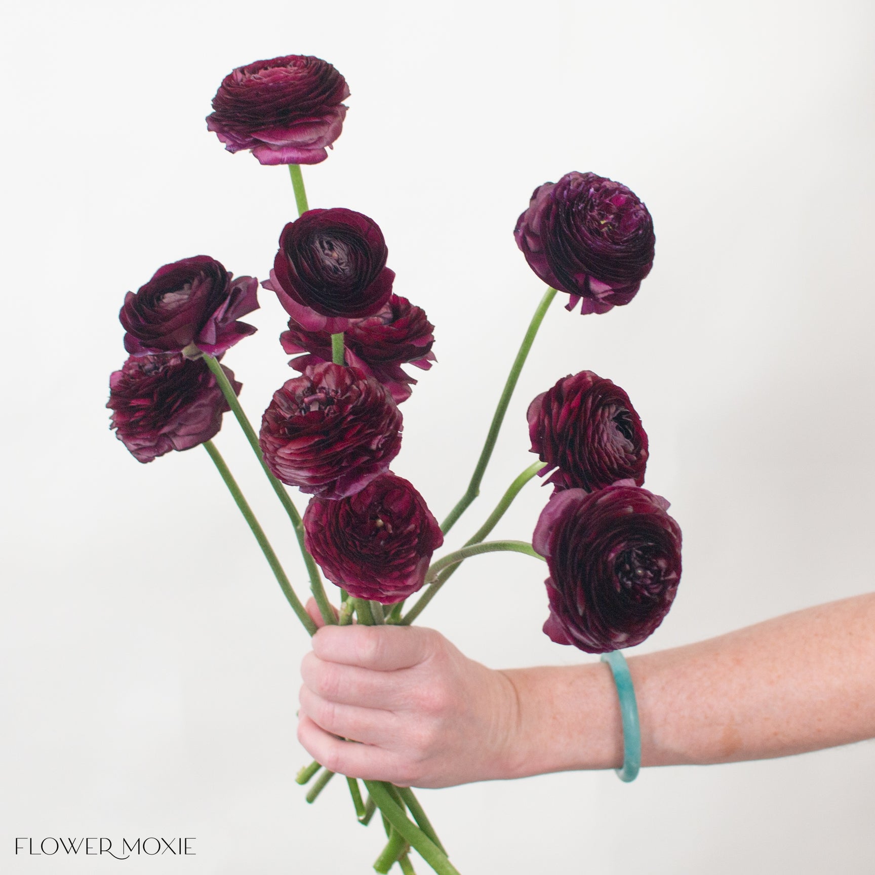 Deep Violet Ranunculus | DIY Wedding Flower | Flower Moxie