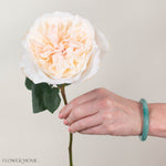 Blush Eugenie David Austin Garden Rose
