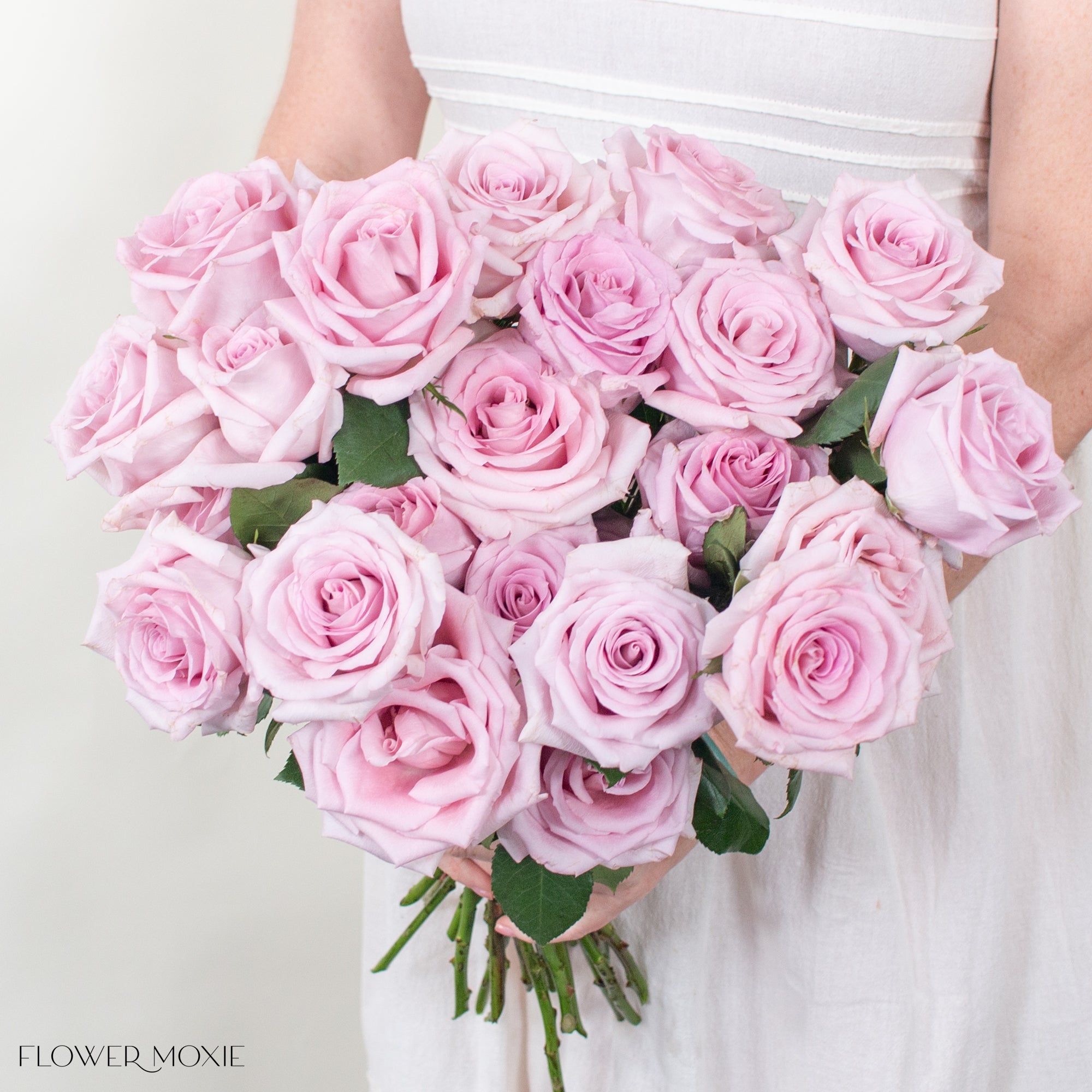 Light Mauve Fair Lady Rose