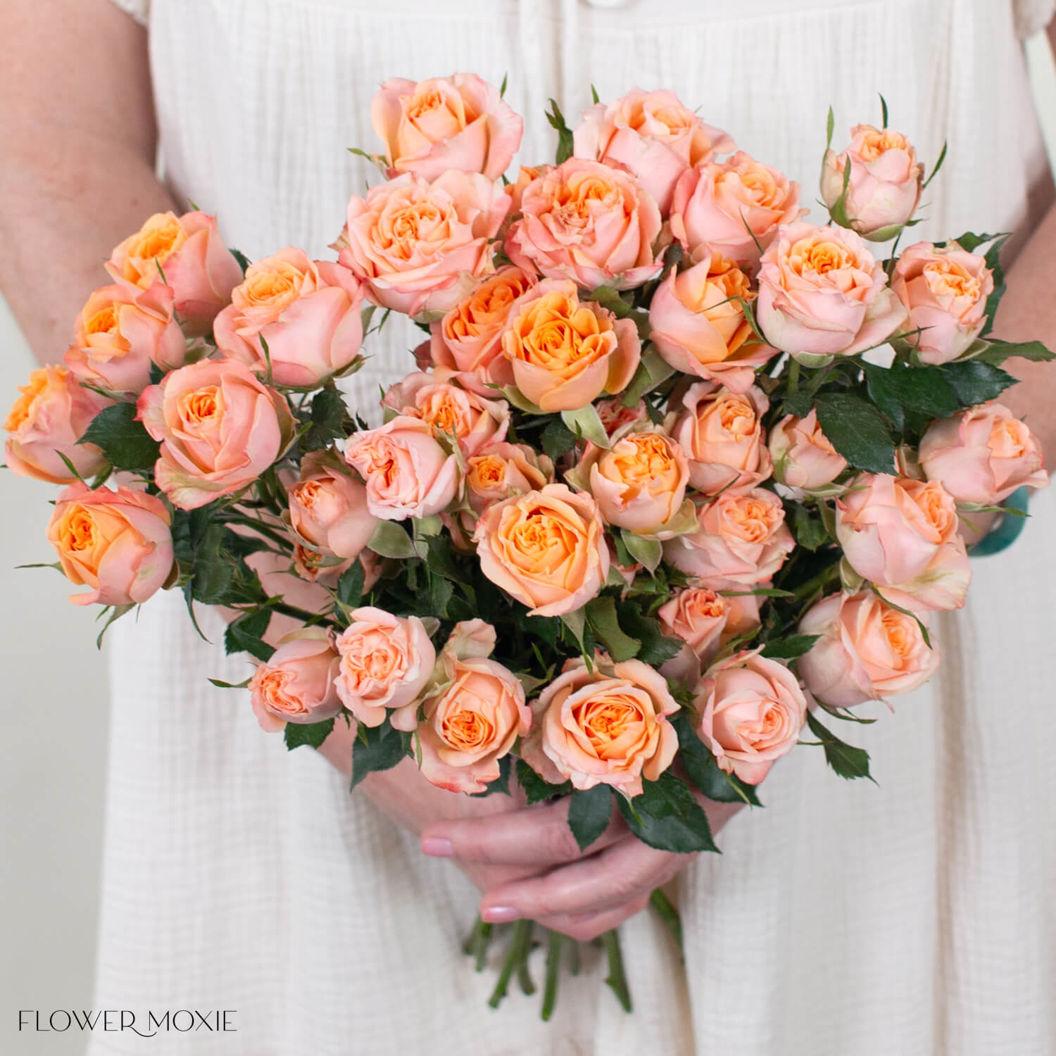 Peach Fibonacci Spray Roses