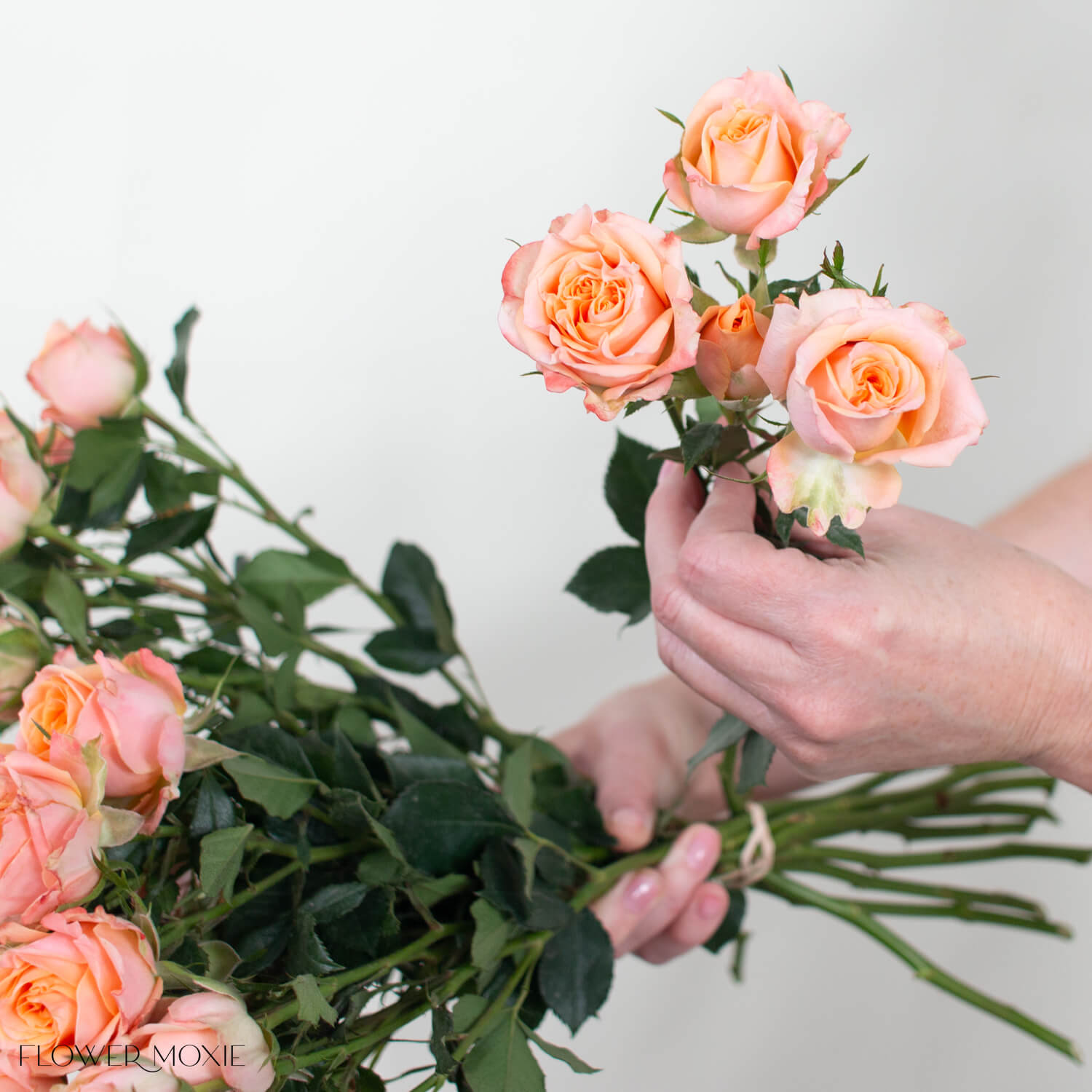 Peach Fibonacci Spray Roses