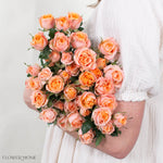 Peach Fibonacci Spray Roses