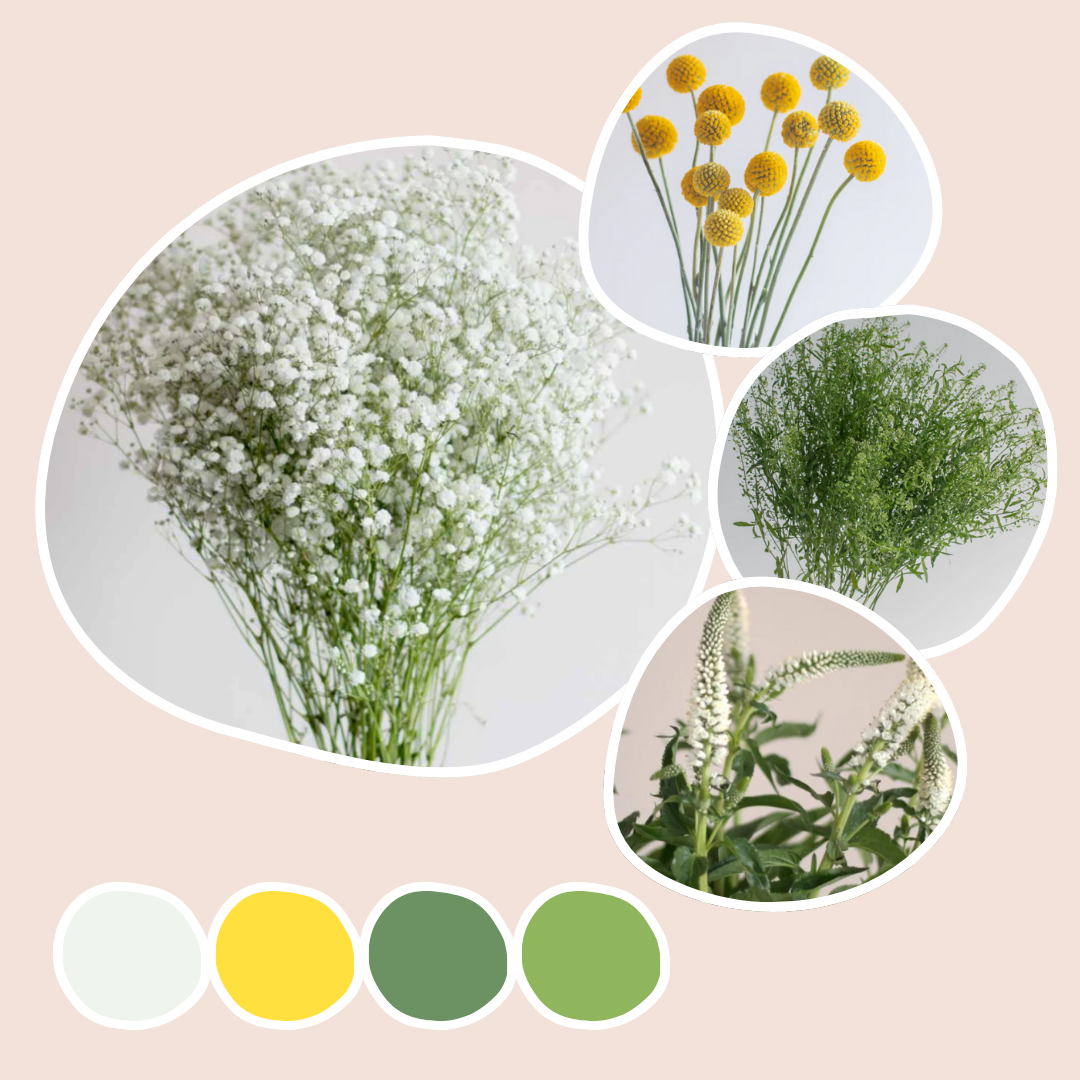 Filler Mixed Box – Daylight
