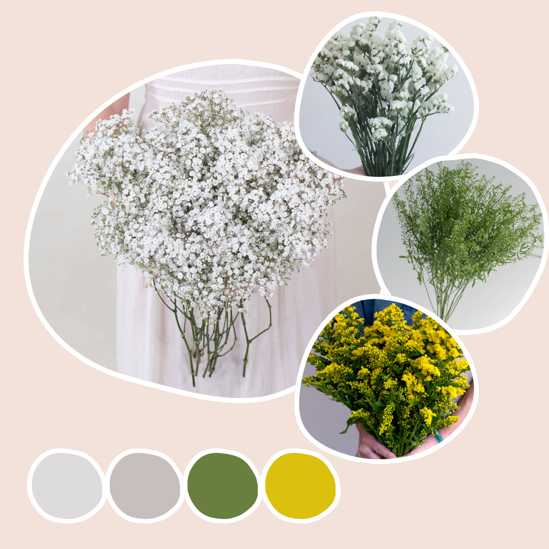 Filler Mixed Box - Light Lift