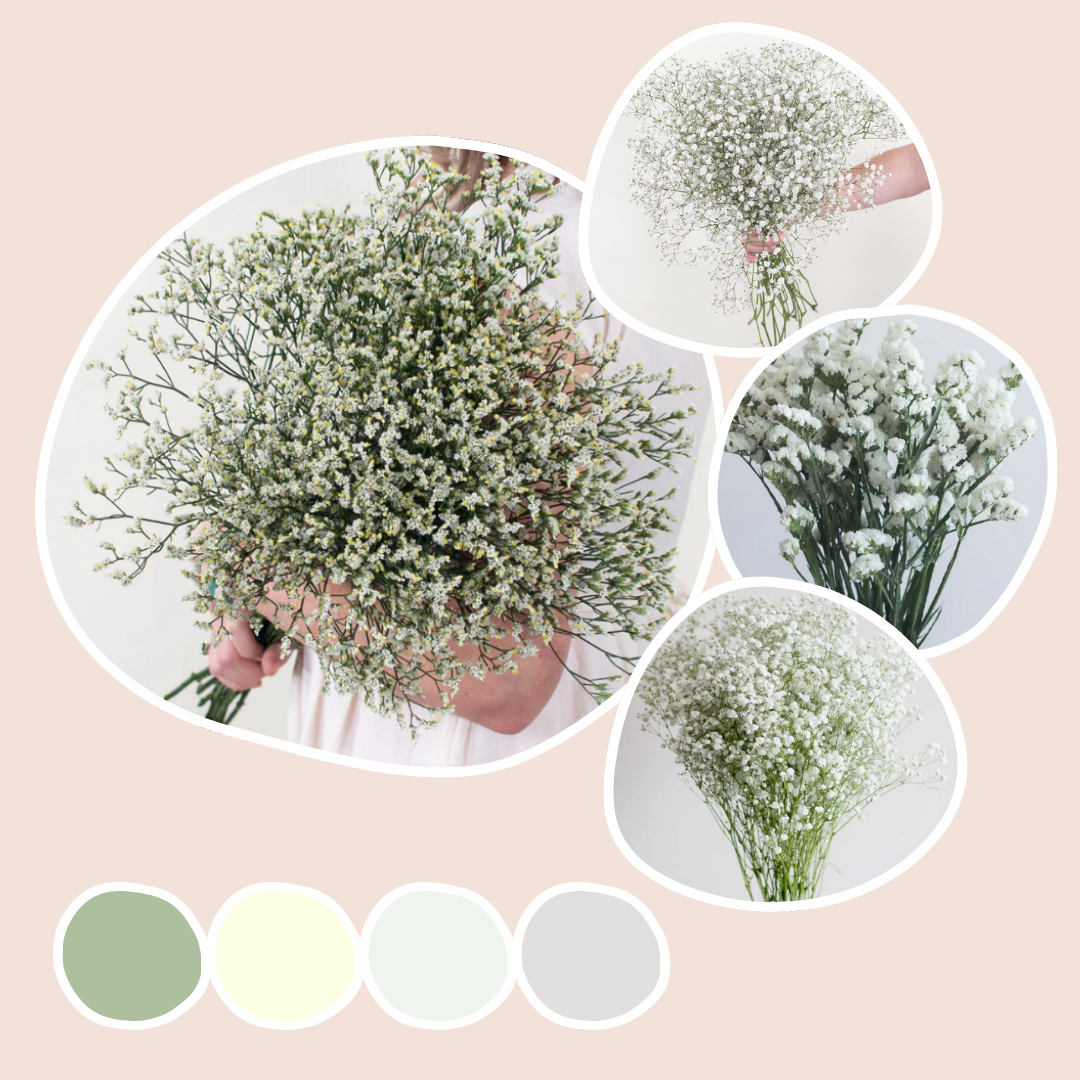 Filler Mixed Box – White Meadow
