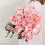 Pink Filomena Rose