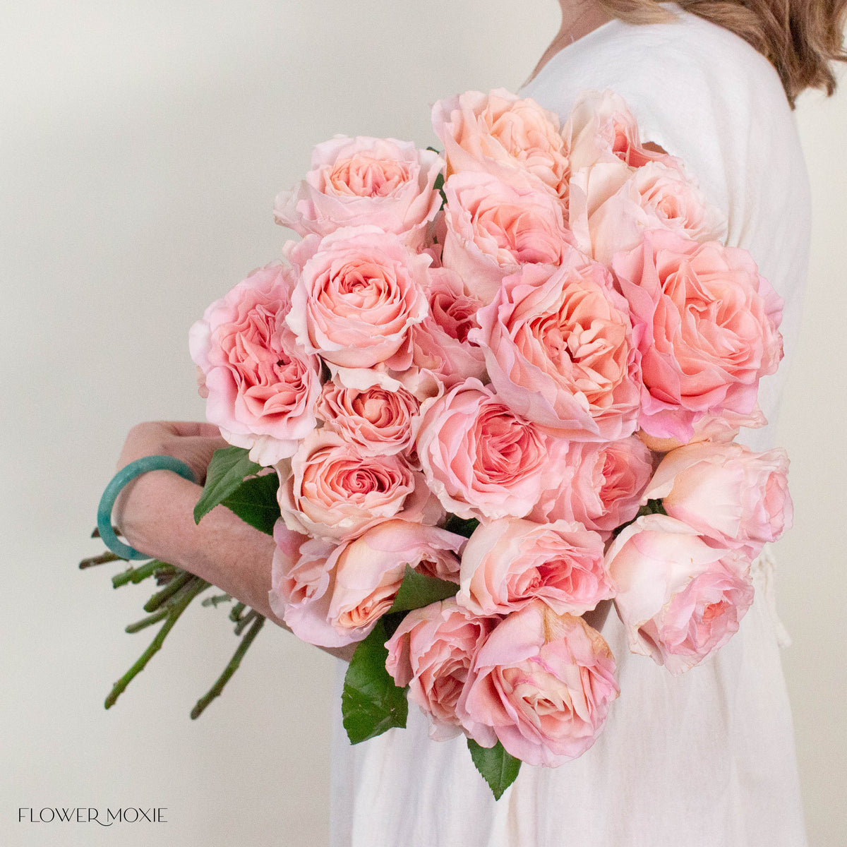 Pink Filomena Rose