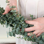 baby eucalyptus garland table runner for diy weddings