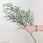 France Bleu Eucalyptus Greenery
