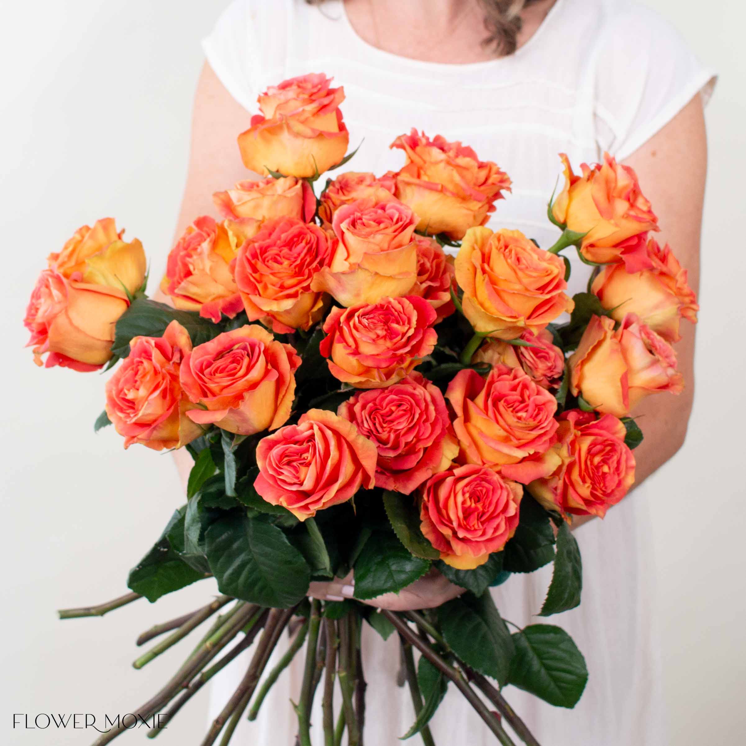 funky cool medina rose