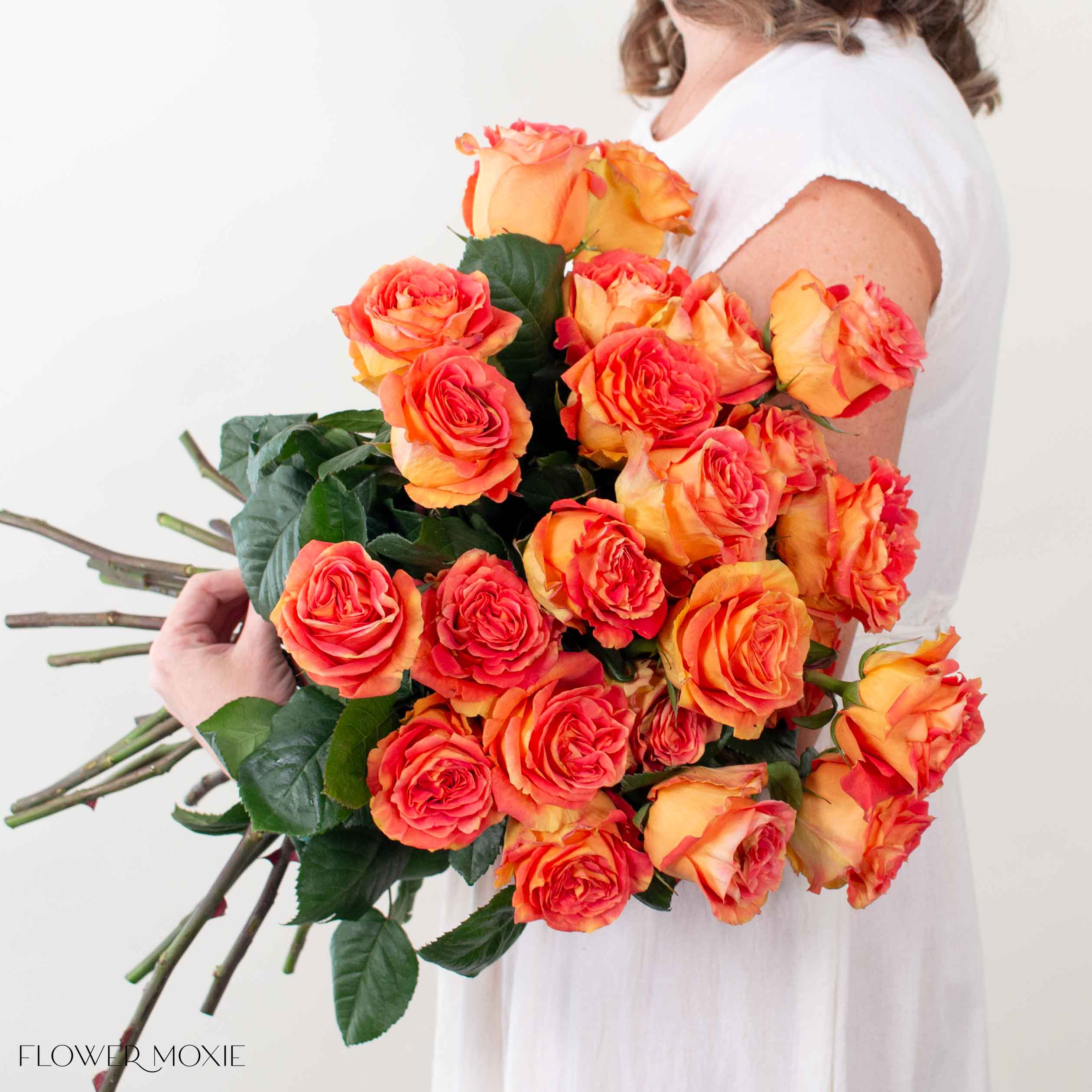 funky cool medina rose