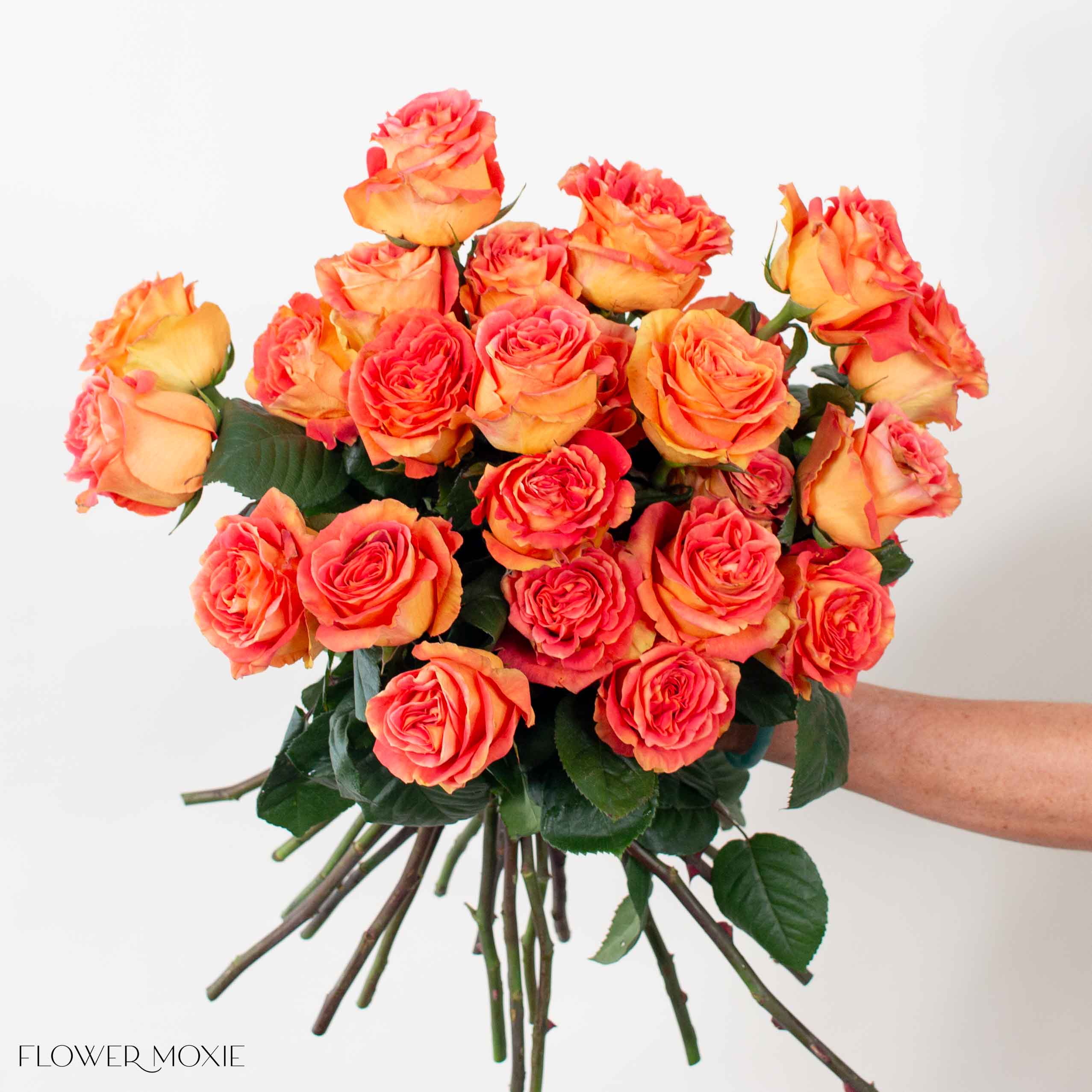 funky cool medina rose