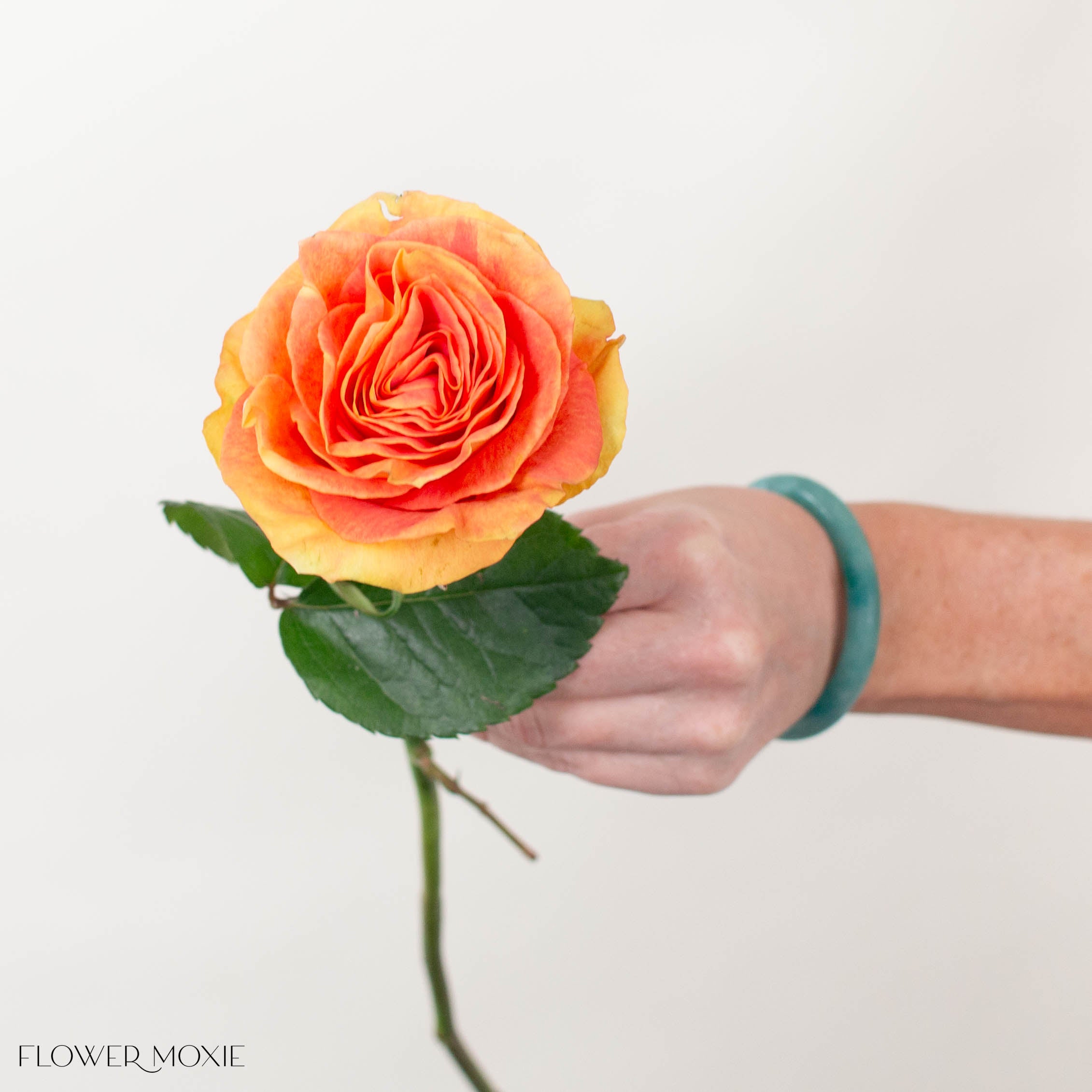 funky cool medina rose