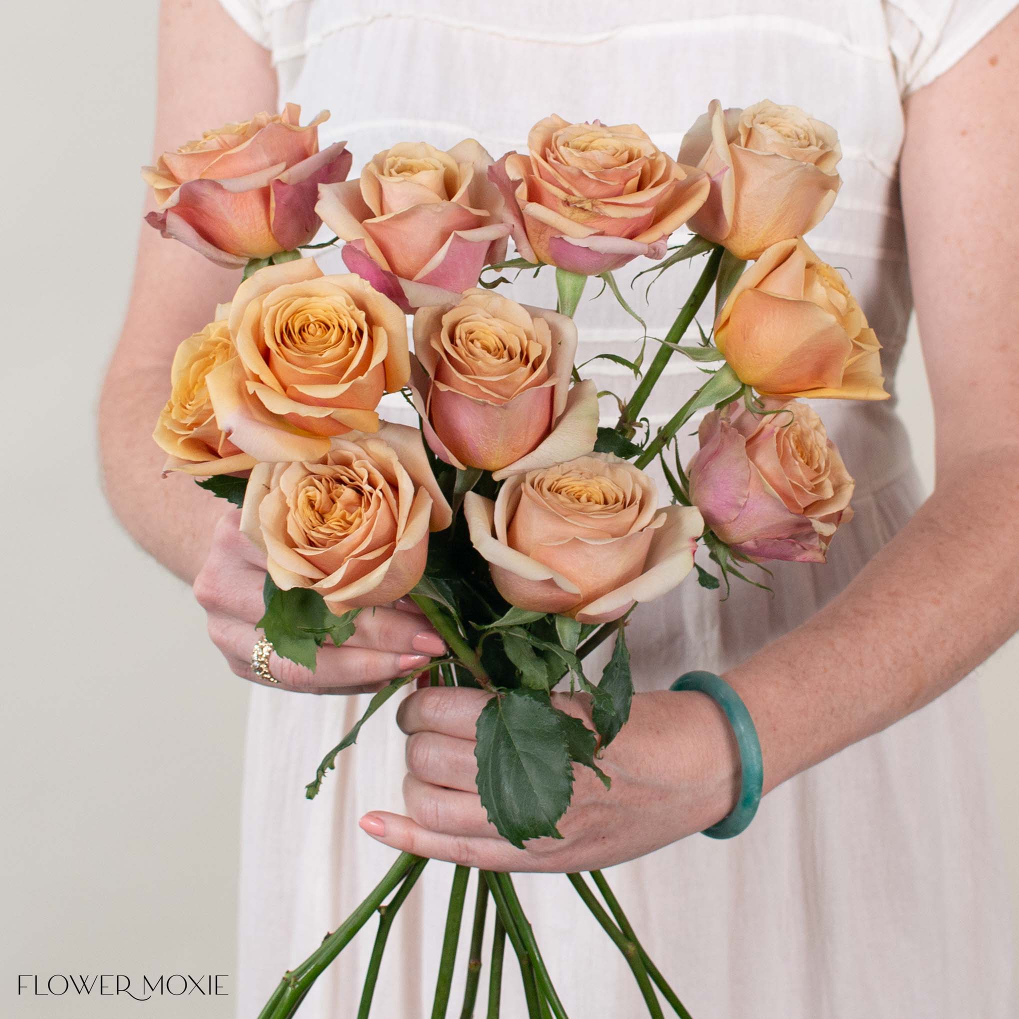 Golden Mustard Garden Rose
