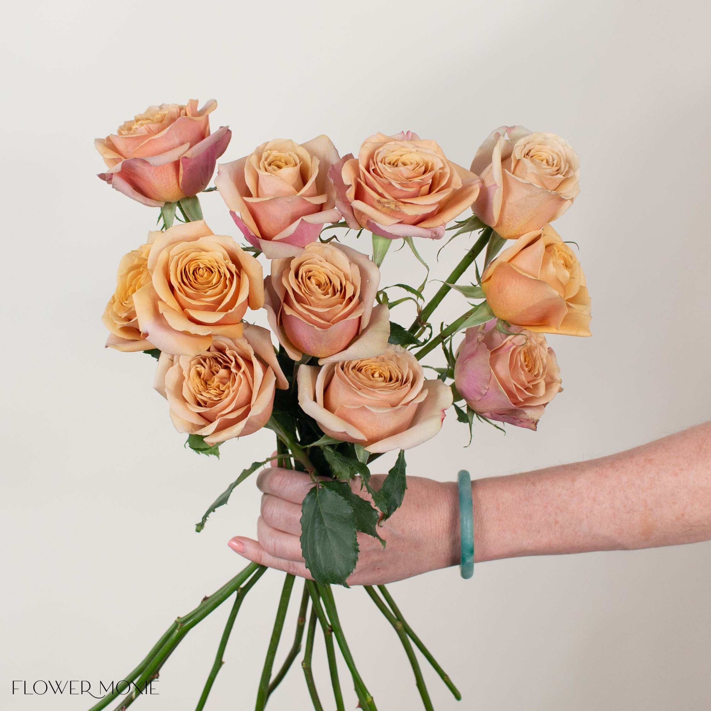 Golden Mustard Garden Rose
