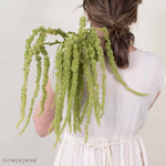 Green Hanging Amaranthus Flower
