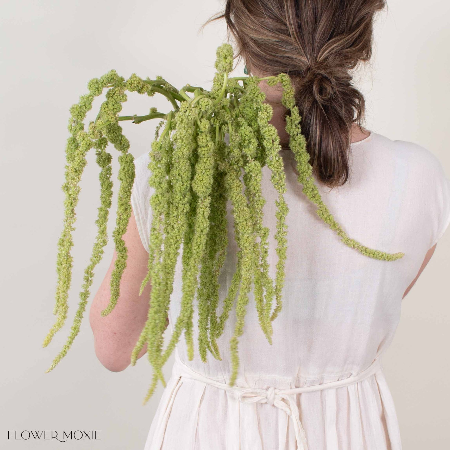 Green Hanging Amaranthus Flower