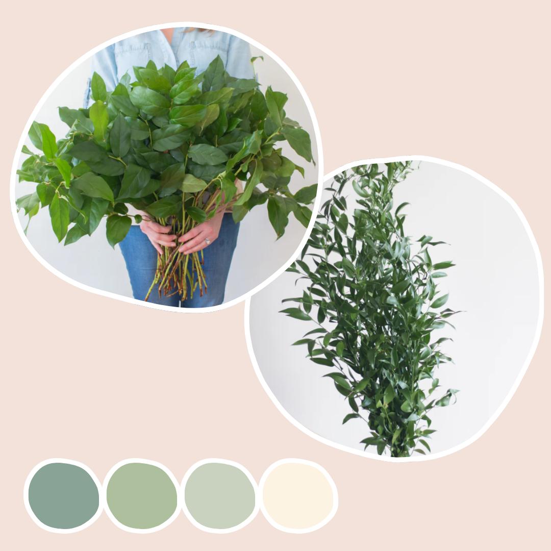 salal and italian ruscus mixed box