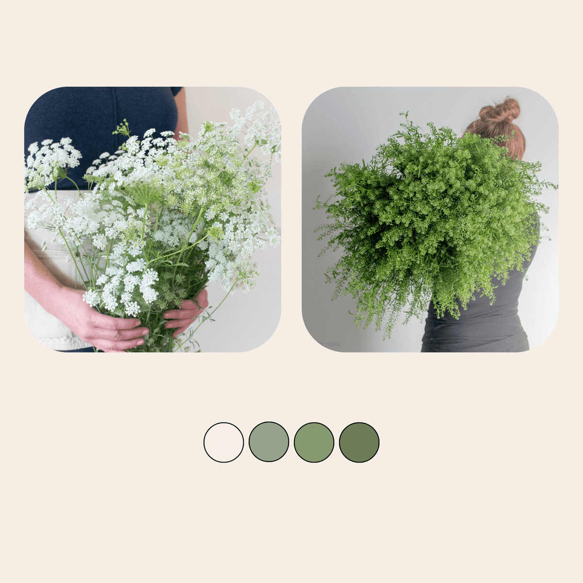 Box Greenery Greenery Mixed Boxes | Bulk Wholesale DIY Wedding Flowers – Flower Moxie