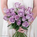 Lavender Grey Knights Rose