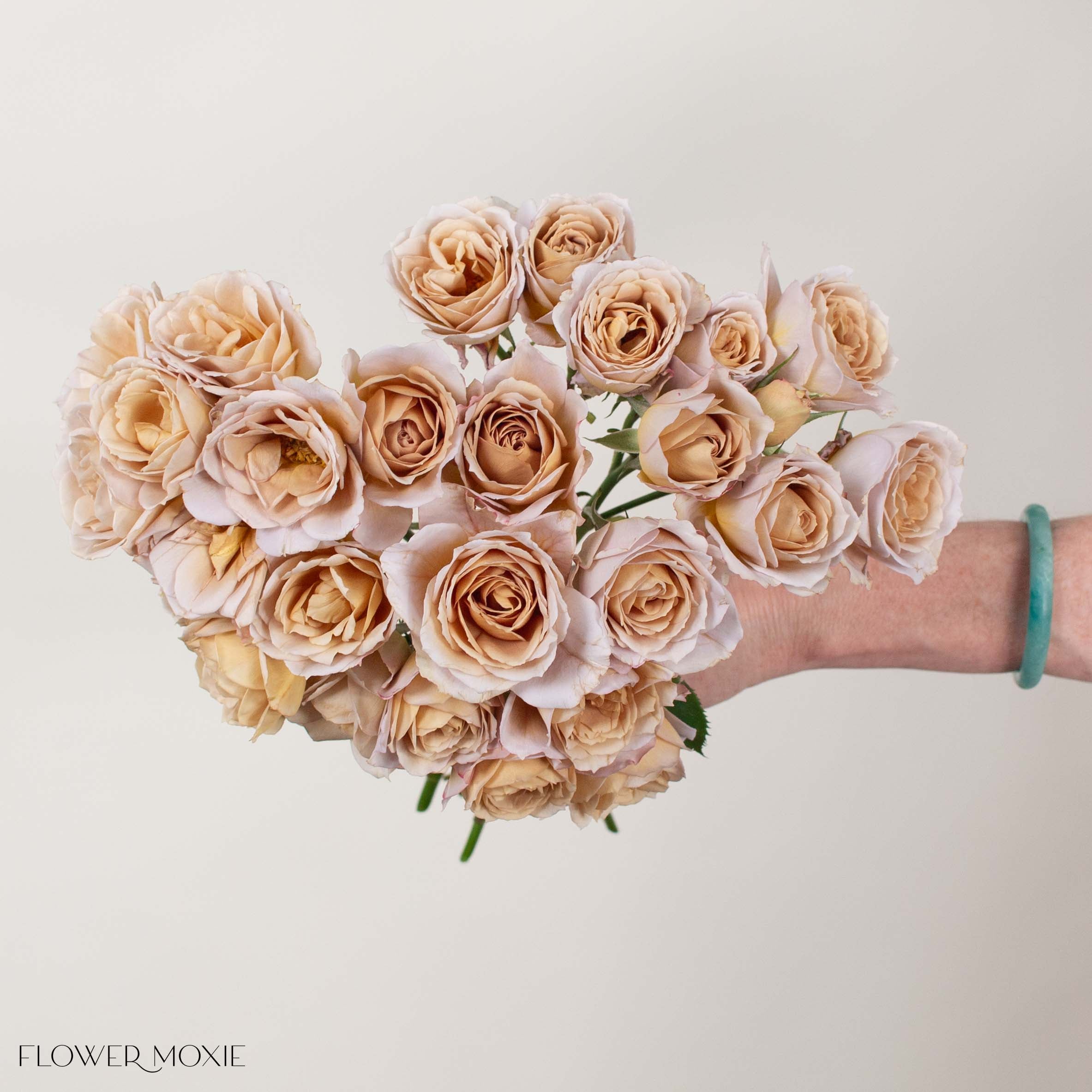 Sand Hana Spray Garden Roses | Bulk Wedding Flowers - Flower Moxie