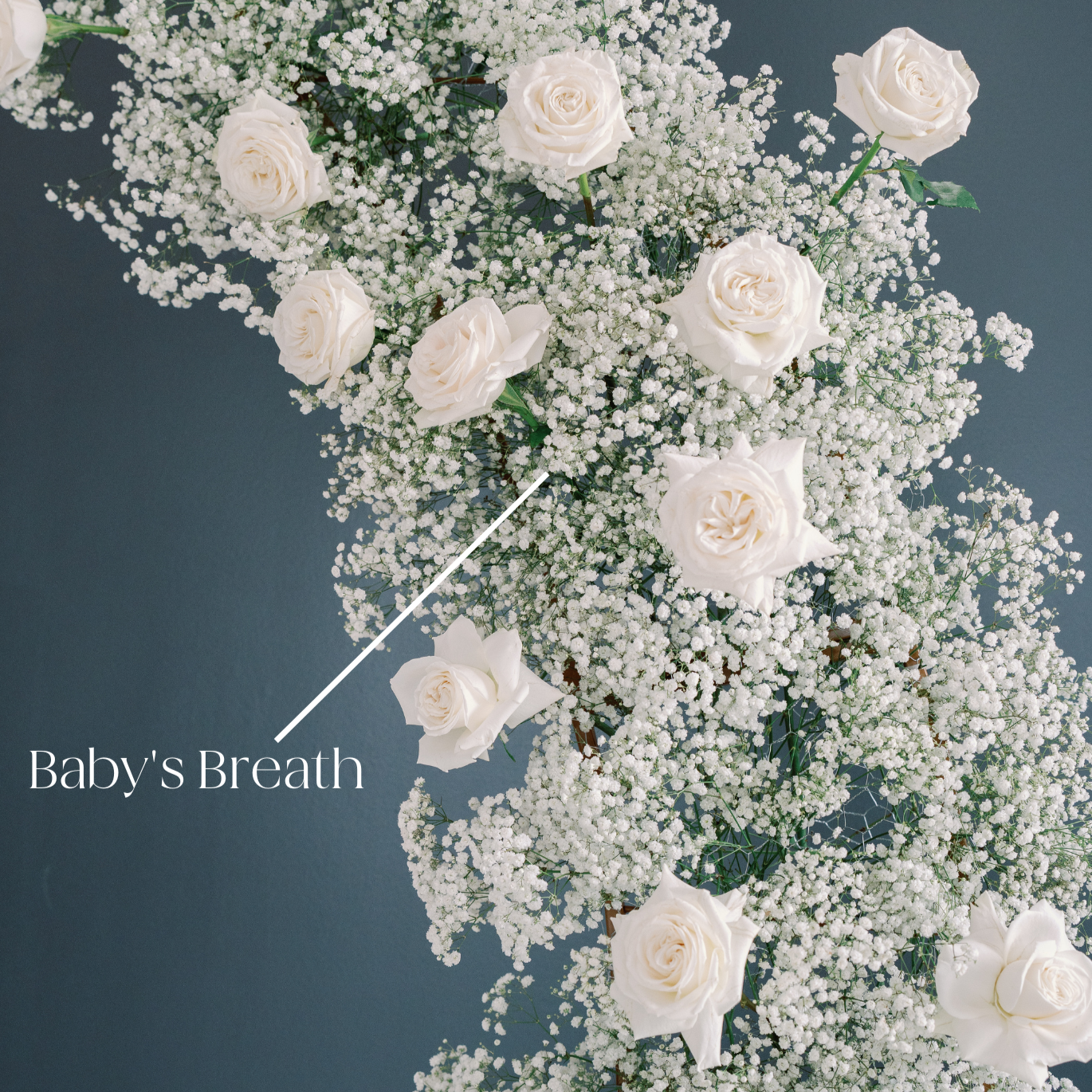 Fresh Baby's Breath Flower, DIY Wedding Flowers