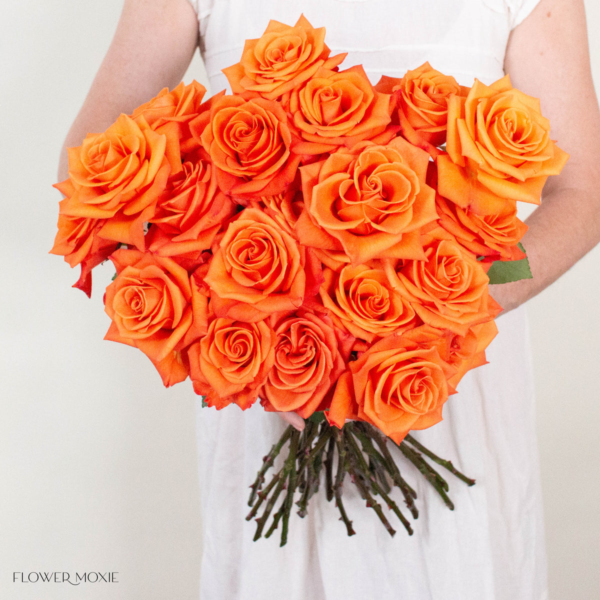 Orange Honey Bunny Rose