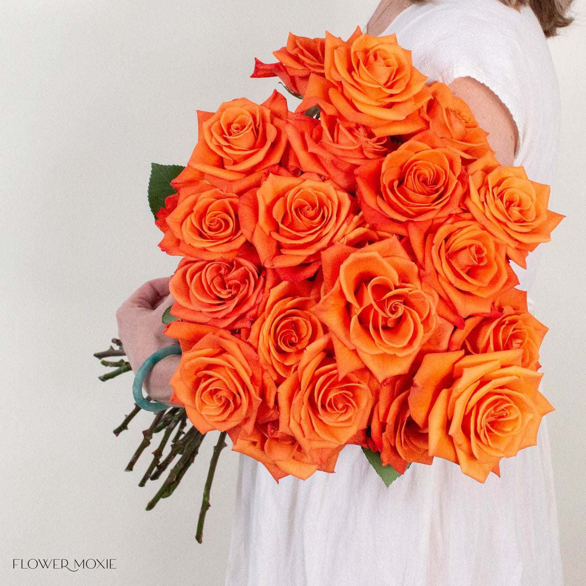 Orange Honey Bunny Rose