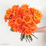 Orange Honey Bunny Rose