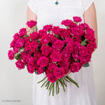 HotPinkSprayRose 1