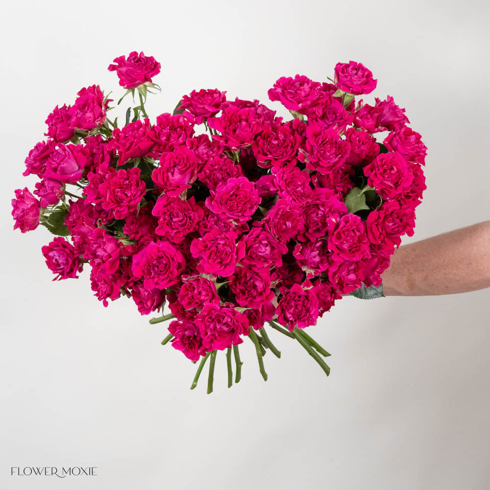 HotPinkSprayRose 3