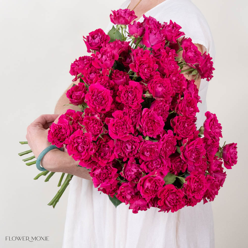 HotPinkSprayRose 5