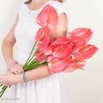 Hot Pink Anthurium
