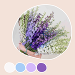 Blush, Lavender, and Purple Hybrid Delphinium Mixed Box