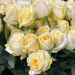 bulk butter yellow creme de la creme roses