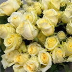 bulk butter yellow creme de la creme roses