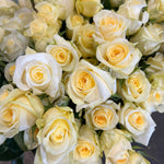 bulk butter yellow creme de la creme roses