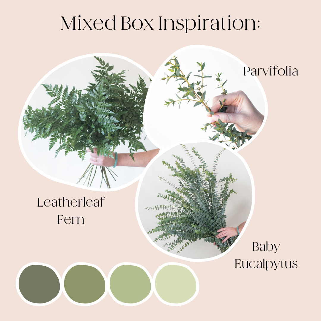 build your own greenery mixed box