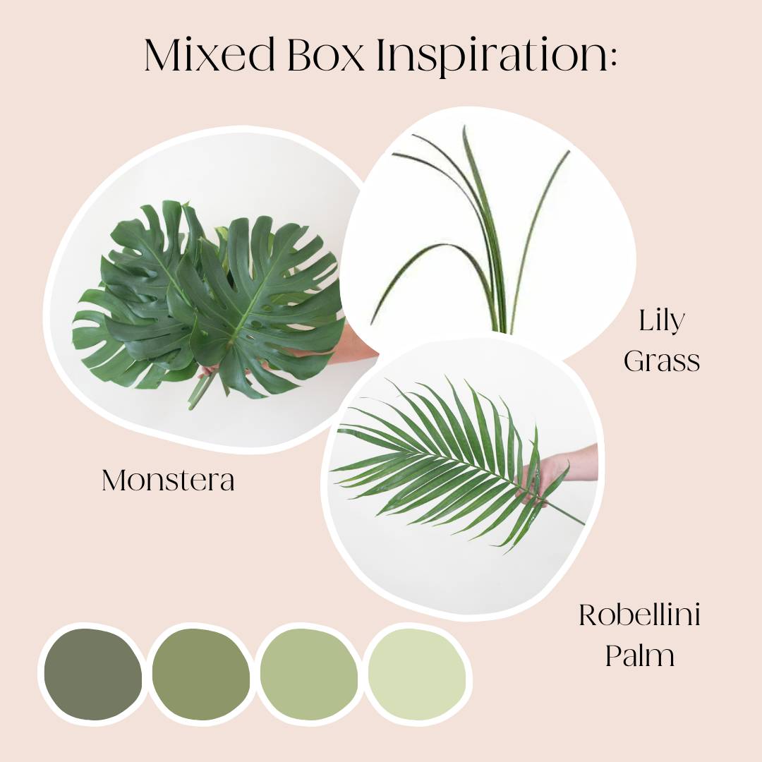 build your own greenery mixed box